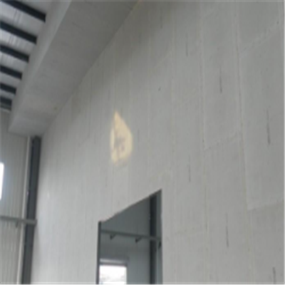 金城江新型建筑材料掺多种工业废渣的ALC|ACC|FPS模块板材轻质隔墙板